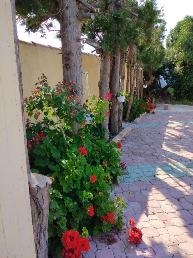 Appartamento In Orosei In Villa Delle Arance 300Mt Dalla Spiaggia Exterior foto